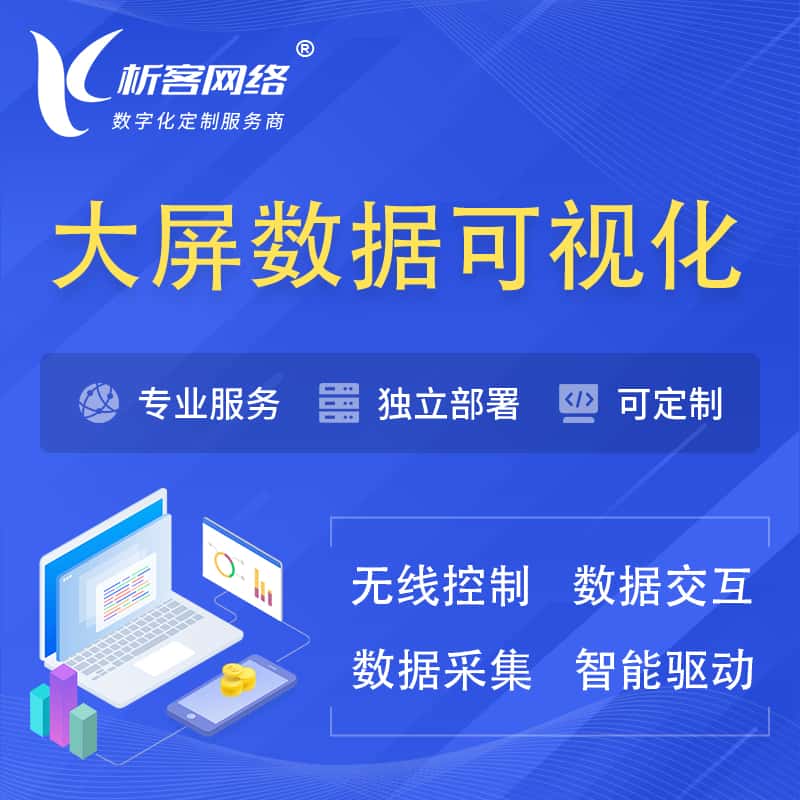 安康大屏互动数据可视化 | 数据大屏系统